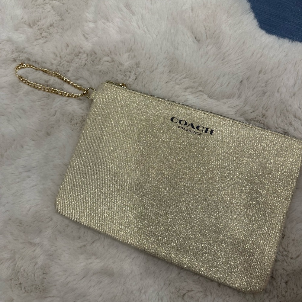 Coach pouch